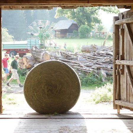 Zeutschach Urlaub Am Bio-Bauernhof Liebchen 빌라 외부 사진