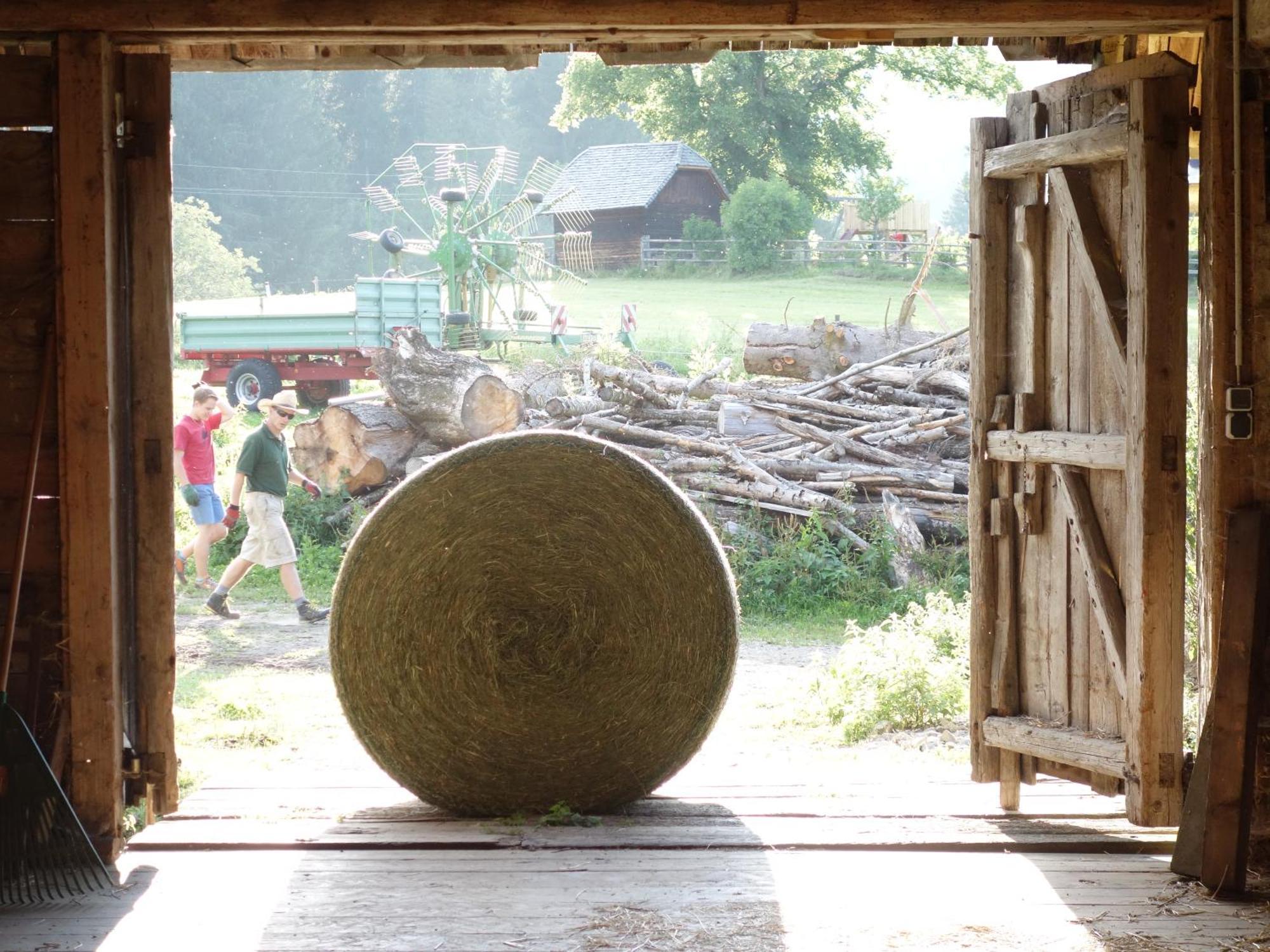 Zeutschach Urlaub Am Bio-Bauernhof Liebchen 빌라 외부 사진