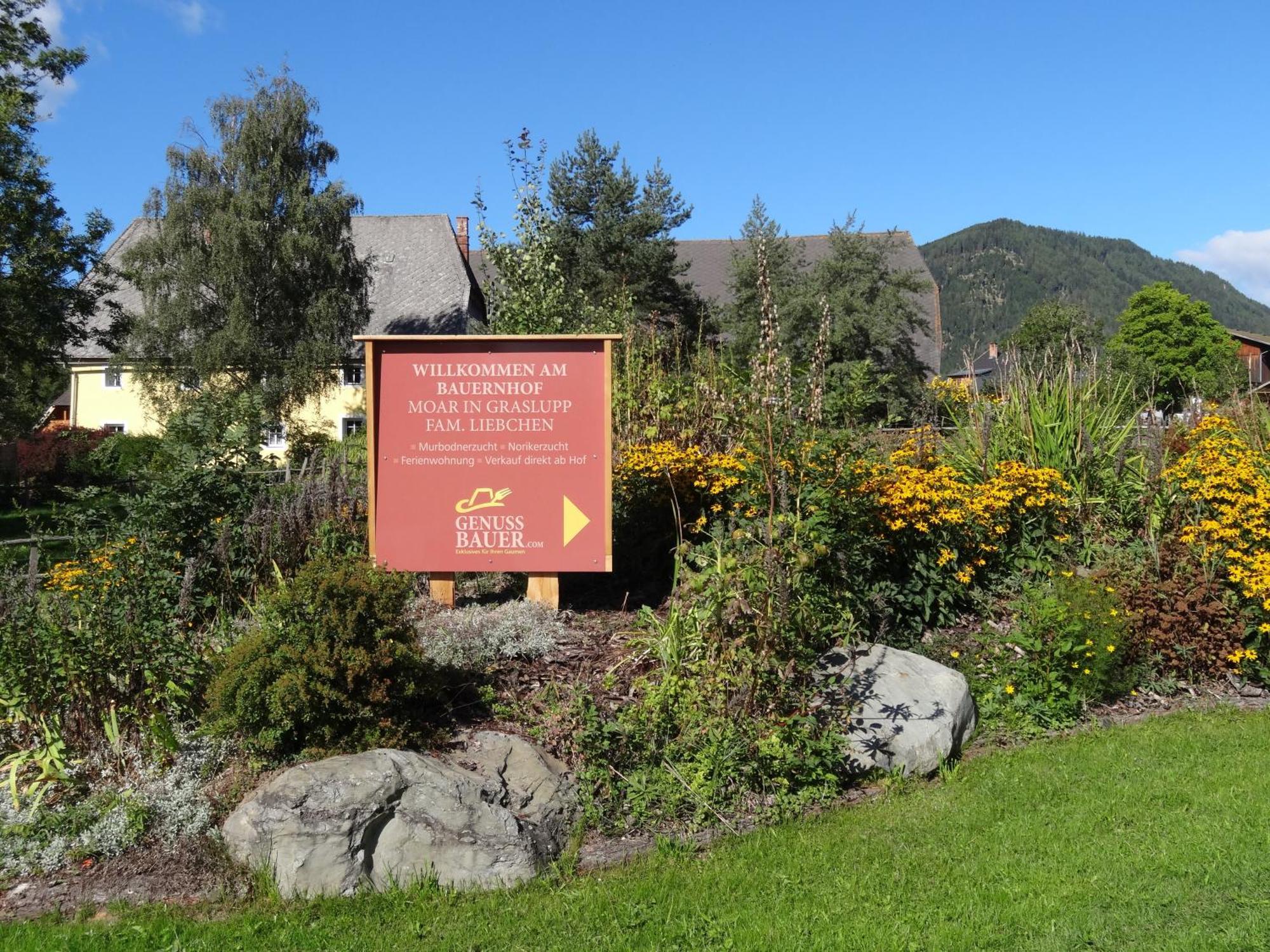 Zeutschach Urlaub Am Bio-Bauernhof Liebchen 빌라 외부 사진