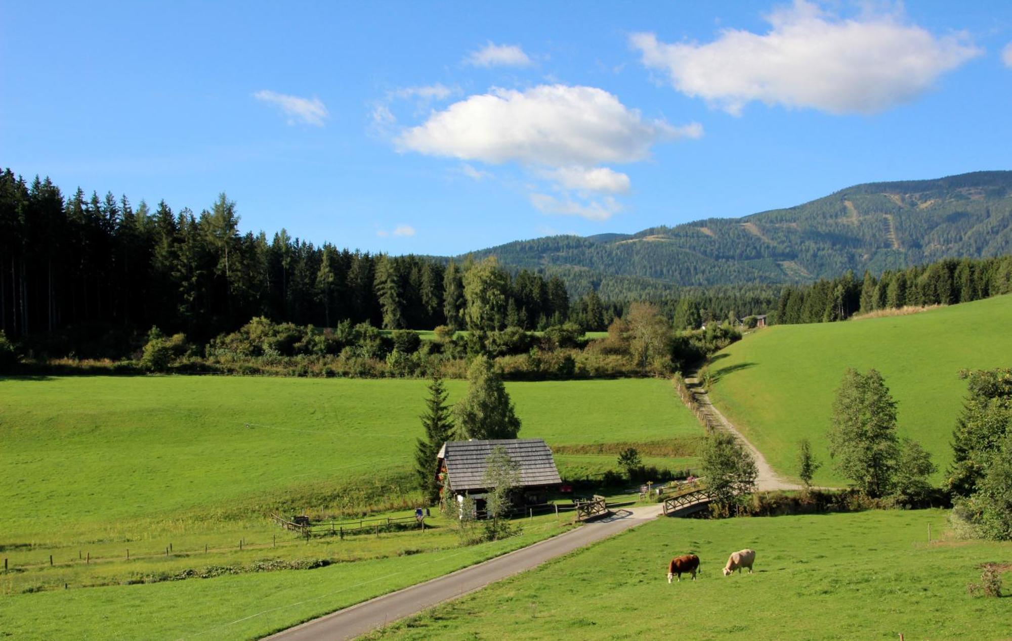 Zeutschach Urlaub Am Bio-Bauernhof Liebchen 빌라 외부 사진
