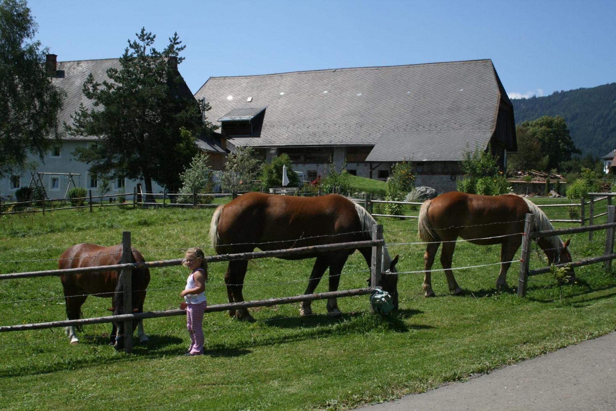 Zeutschach Urlaub Am Bio-Bauernhof Liebchen 빌라 외부 사진